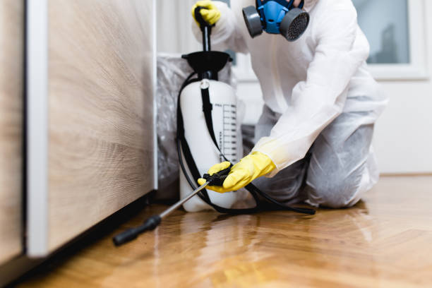 Best Affordable Pest Control Services  in Stony Point, MI