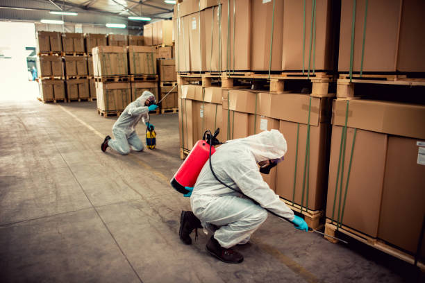 Best Cockroach Control Services  in Stony Point, MI