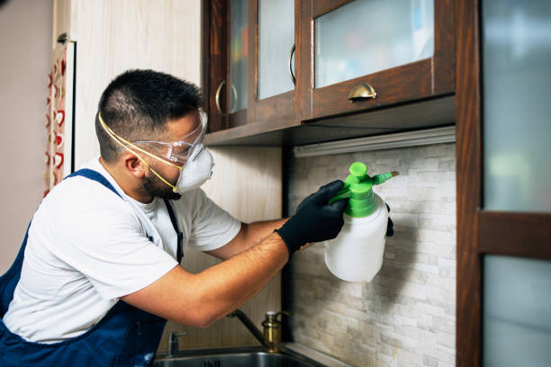 Flea Control Services in Stony Point, MI