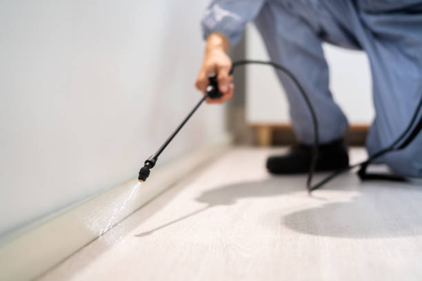 Best Local Pest Control Services  in Stony Point, MI