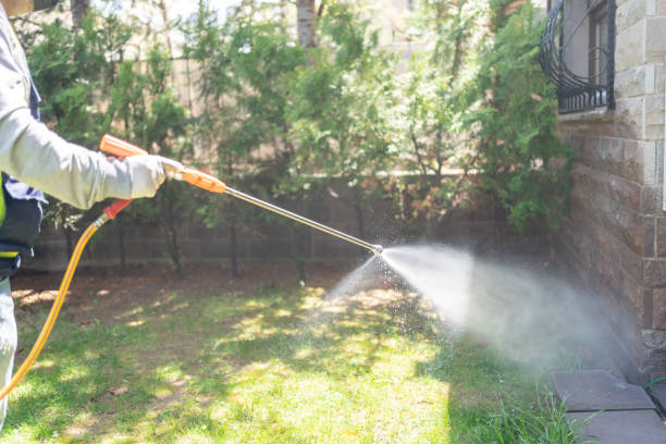 Best Flea Control Services  in Stony Point, MI