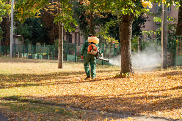 Trusted Stony Point, MI Pest Control Experts