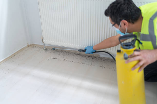 Best Ant Control Services  in Stony Point, MI