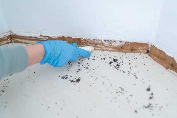 Best Best Pest Control Companies  in Stony Point, MI