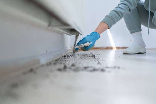 Best Exterminator Services  in Stony Point, MI