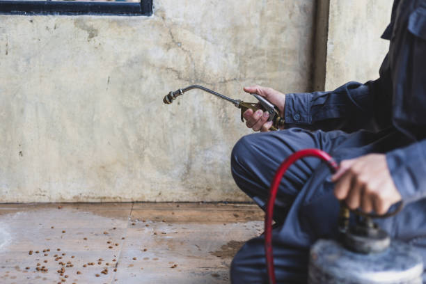 Best Pest Inspection Near Me  in Stony Point, MI